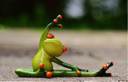 Frog Stretching