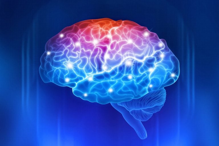 bigstock-Human-Brain-On-A-Blue-Backgrou-454878765-1-768x512