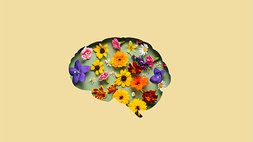 illustrative-graphic-of-brain-cutout-with-flowers